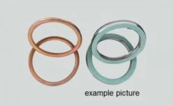 Centauro Uitlaatpakking Ring E430550SS